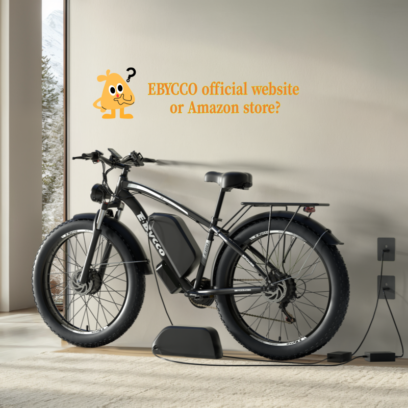 Why Buying Your EBYCCO Electric Bike from the Official Website Is the Smarter Choice？
