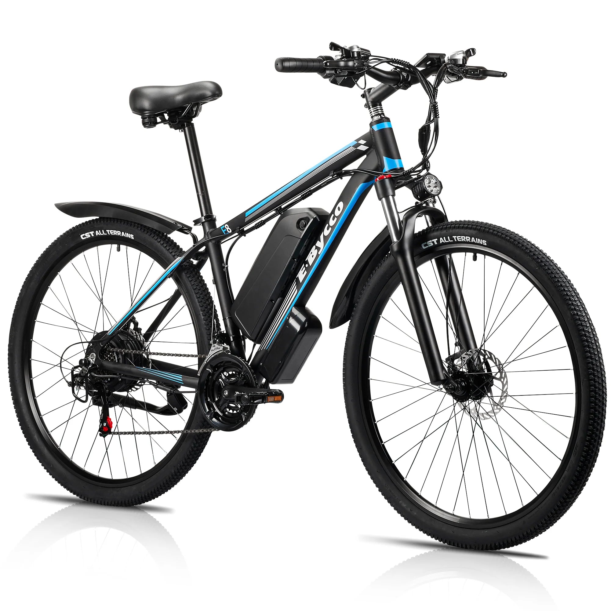 1000W Electric Bike