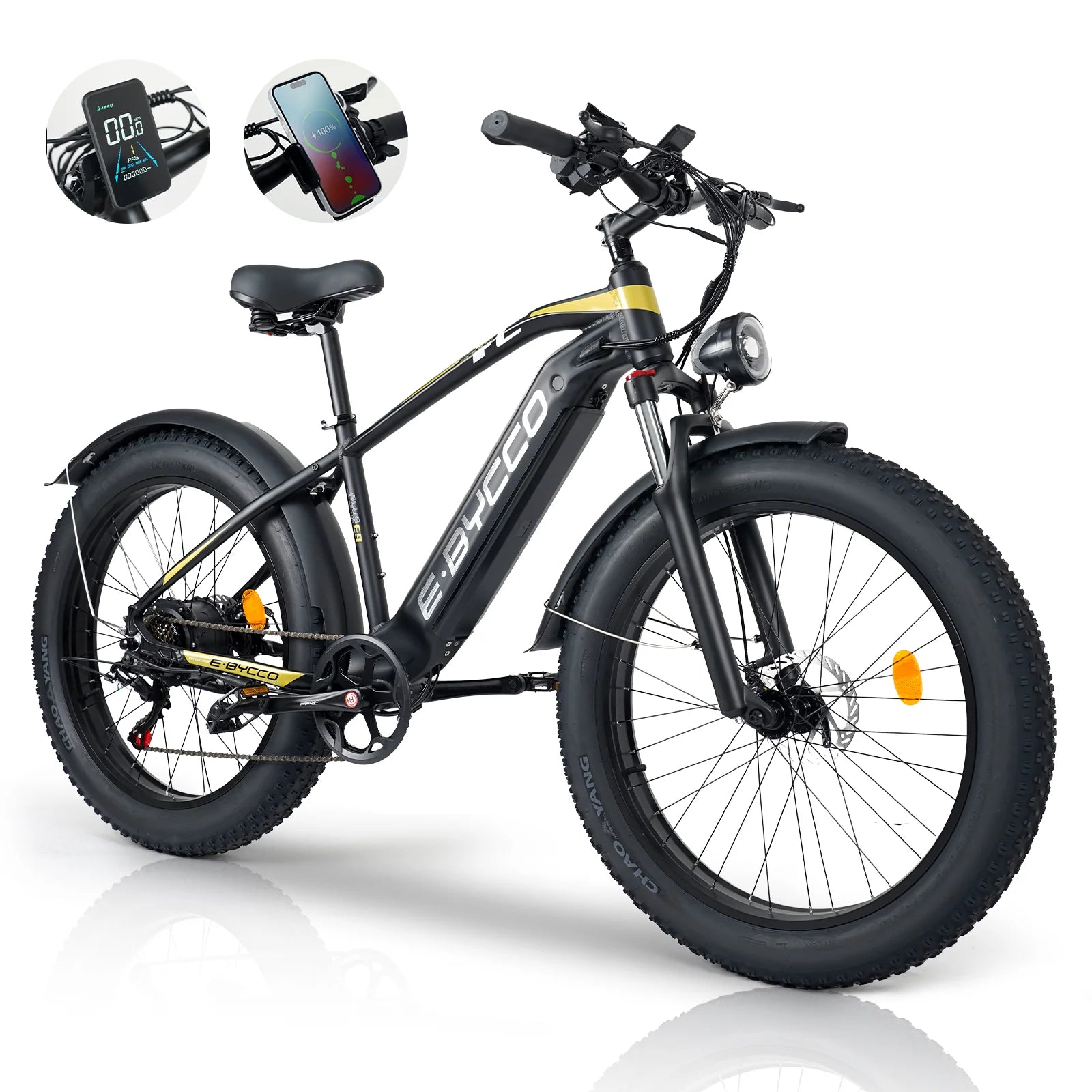 2000W Electric Bike