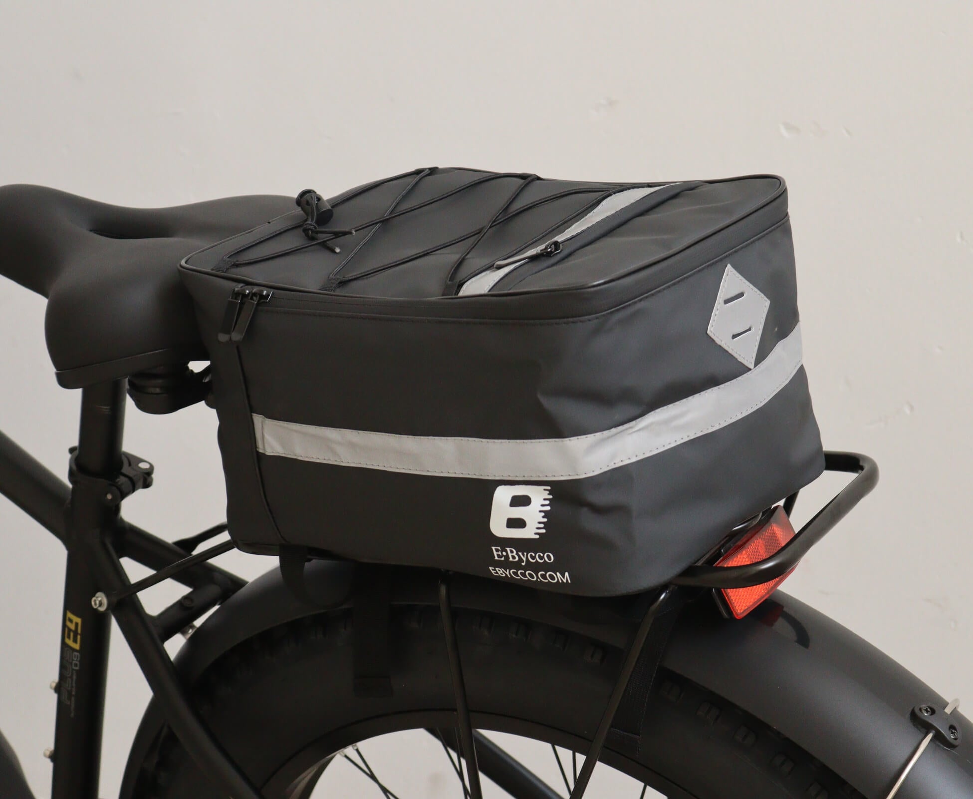 Electric Bike Bag